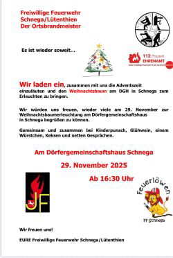 Weihnachtsbaum Schnega 2025 klein